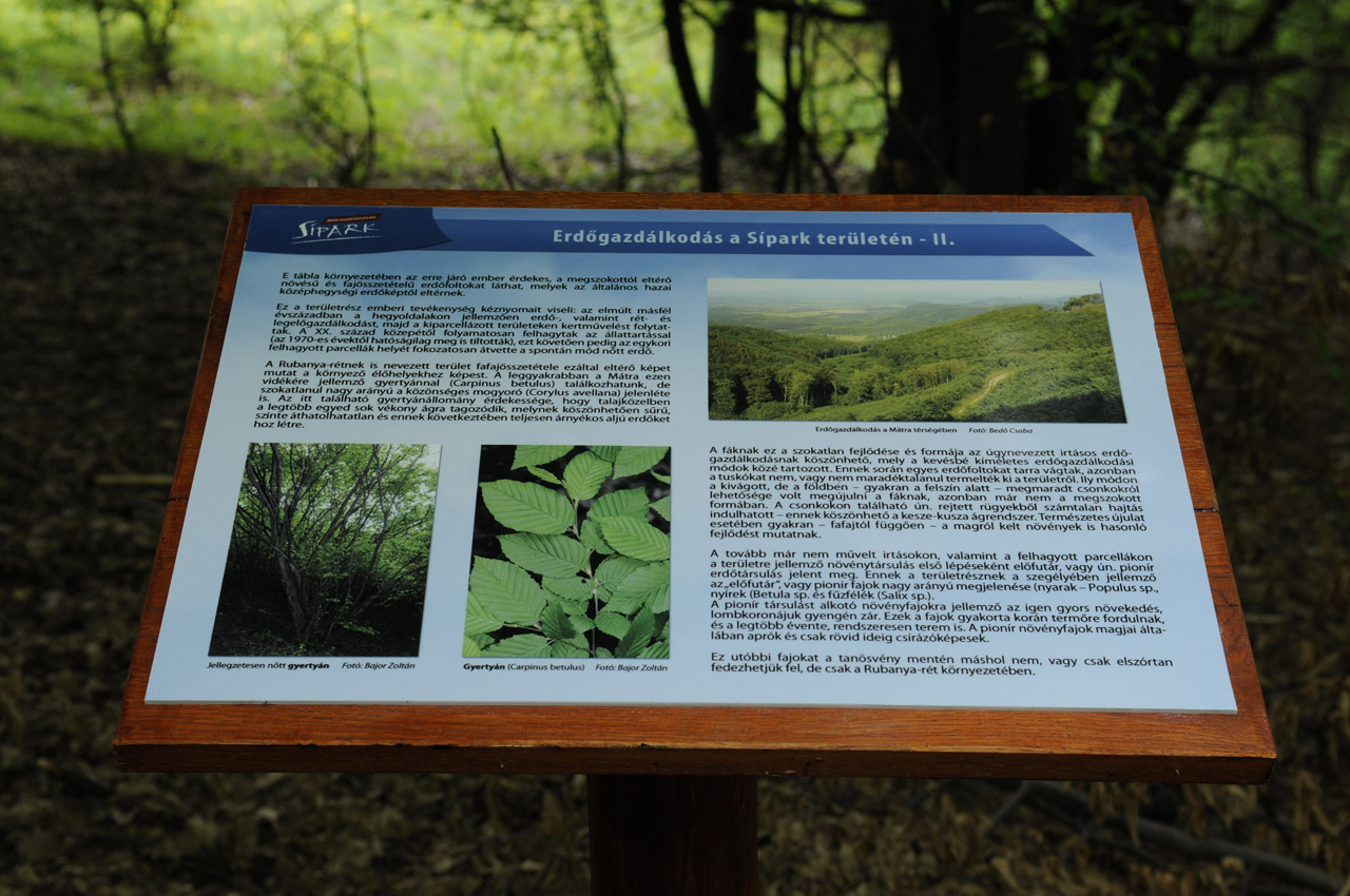 Kültéri információs táblák